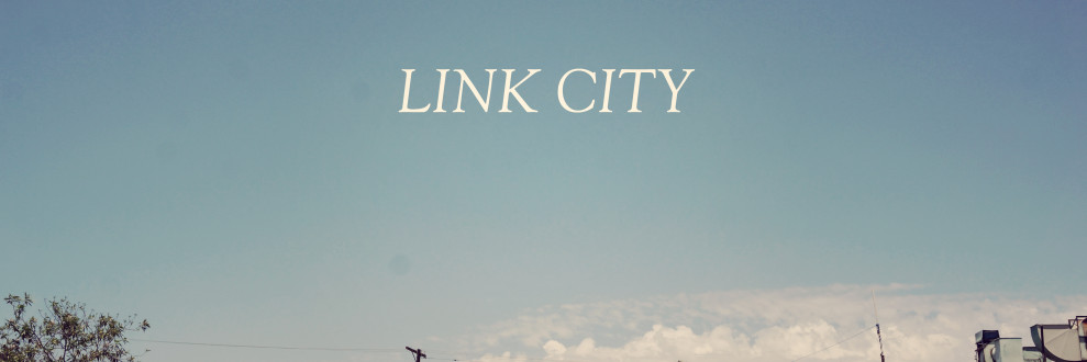 LINK CITY HEADER